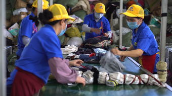 閑魚回收一萬噸舊衣服想干啥 它們再生成了大棚保溫被 環保袋和勞保手套